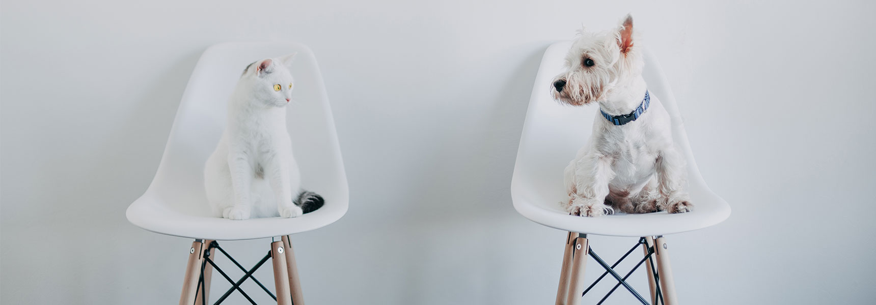 An Elegant Way To Protect Social Distance